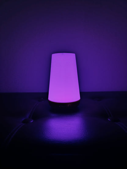 "VándorFény" Hordozható Lámpa